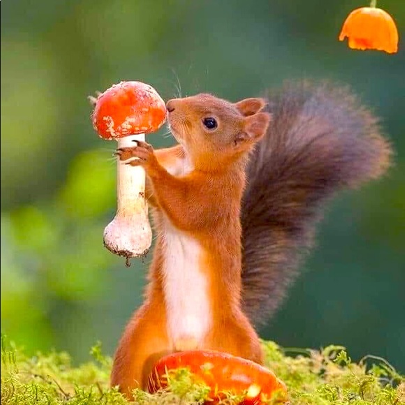 Meet your Posher, Suzanne - Picture 1 of 1